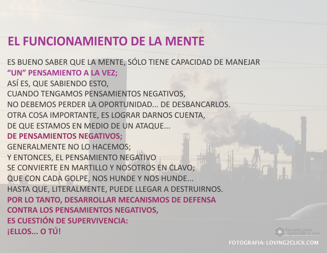 El funcionamiento de la mente Marzo 23 de 2009